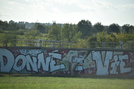 Avignon 2022, Zurlu  313 