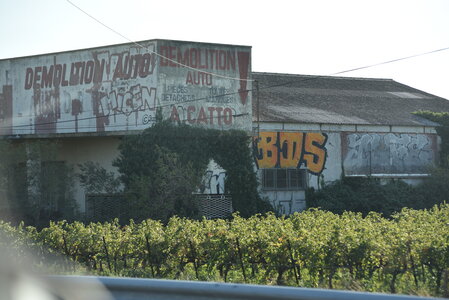 Avignon 2022, Zurlu  315 