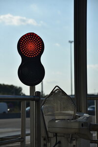 Avignon 2022, Zurlu  316 