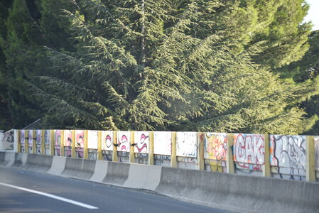 Avignon 2022, Zurlu  318 