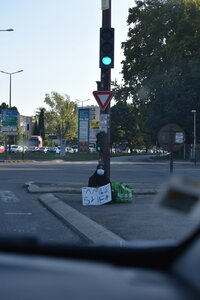 Avignon 2022, Zurlu  320 