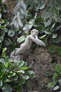 Avignon 2022, Zurlu  326 