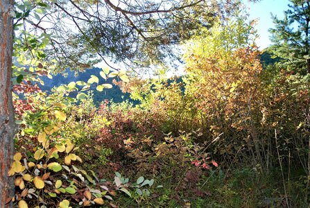 Bréziers, la chapelle de Ste Sixte par la bergerie 04102022, DSC_0366