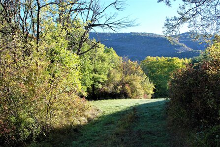 Bréziers, la chapelle de Ste Sixte par la bergerie 04102022, DSC_0367