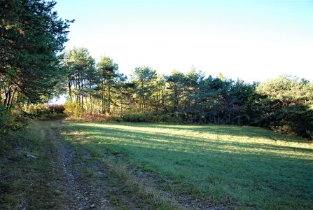 Bréziers, la chapelle de Ste Sixte par la bergerie 04102022, DSC_0368