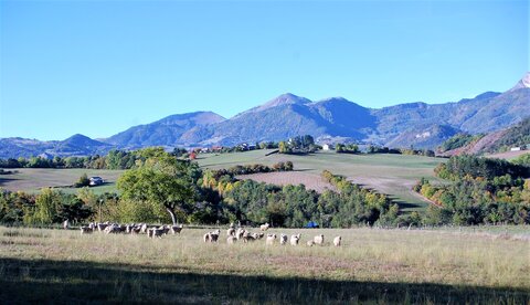Bréziers, la chapelle de Ste Sixte par la bergerie 04102022, DSC_0380
