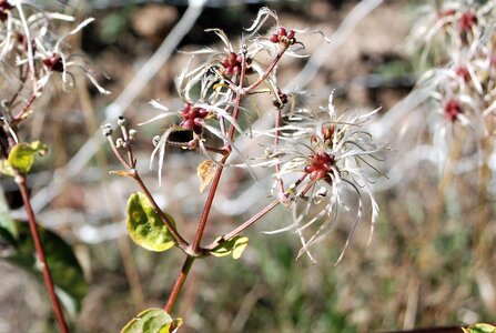 Bréziers, la chapelle de Ste Sixte par la bergerie 04102022, DSC_0418