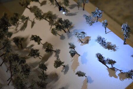 Avignon 2022, Zurlu  353 