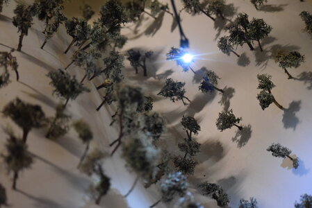 Avignon 2022, Zurlu  354 