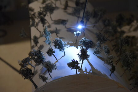 Avignon 2022, Zurlu  355 