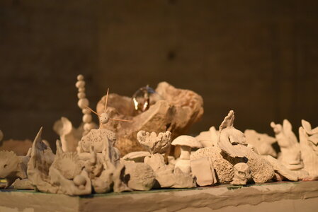 Avignon 2022, Zurlu  361 