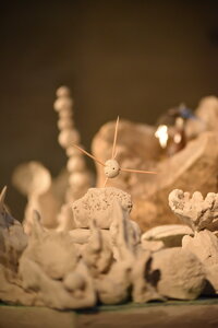 Avignon 2022, Zurlu  362 