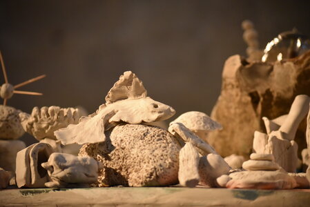 Avignon 2022, Zurlu  363 