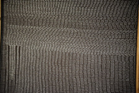 Avignon 2022, Zurlu  383 