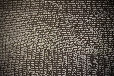 Avignon 2022, Zurlu  385 