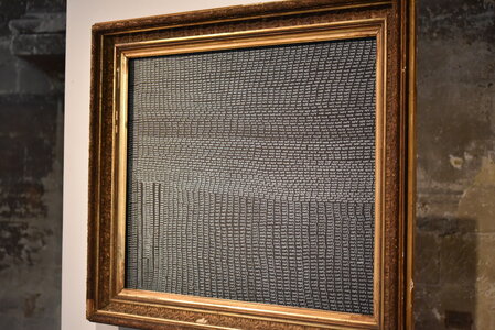 Avignon 2022, Zurlu  387 