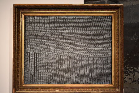 Avignon 2022, Zurlu  389 