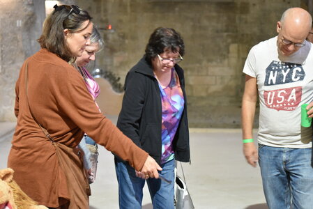 Avignon 2022, Zurlu  397 