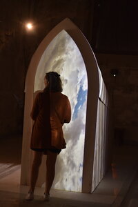 Avignon 2022, Zurlu  402 