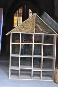 Avignon 2022, Zurlu  405 