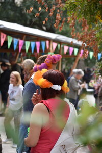 Avignon 2022, Zurlu  446 