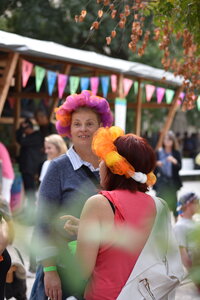 Avignon 2022, Zurlu  447 