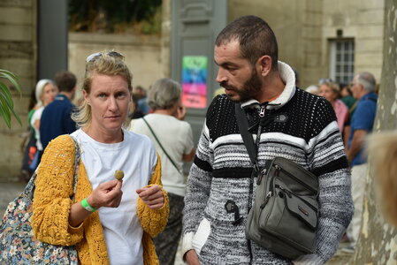 Avignon 2022, Zurlu  462 