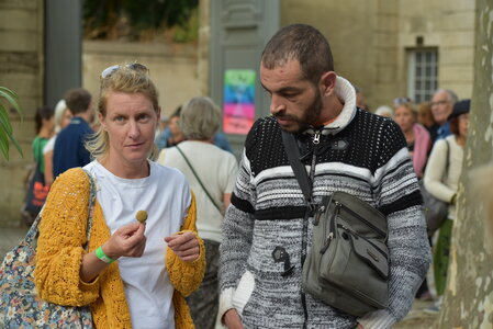 Avignon 2022, Zurlu  463 