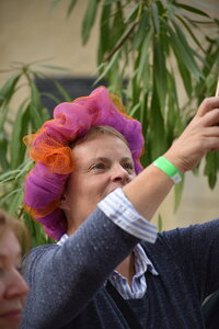 Avignon 2022, Zurlu  478 