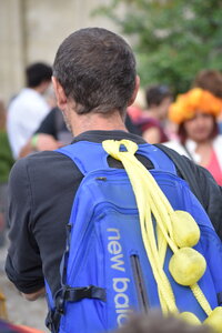 Avignon 2022, Zurlu  492 