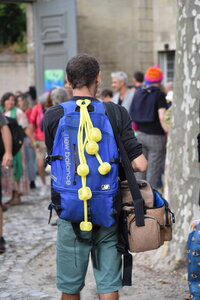 Avignon 2022, Zurlu  493 