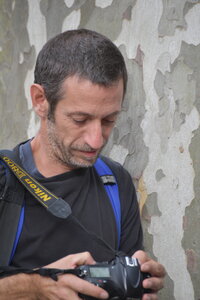 Avignon 2022, Zurlu  495 