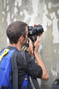 Avignon 2022, Zurlu  496 