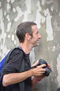 Avignon 2022, Zurlu  497 