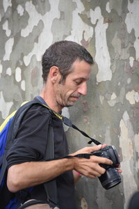 Avignon 2022, Zurlu  498 