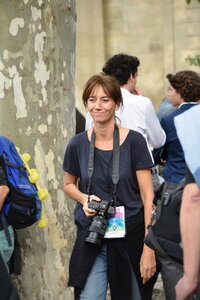 Avignon 2022, Zurlu  504 