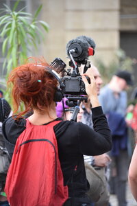 Avignon 2022, Zurlu  532 