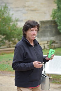 Avignon 2022, Zurlu  582 