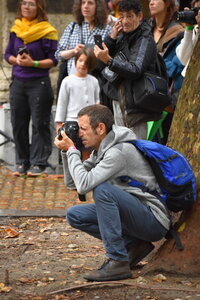 Avignon 2022, Zurlu  623 