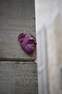 Avignon 2022, Zurlu  651 