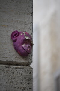 Avignon 2022, Zurlu  652 