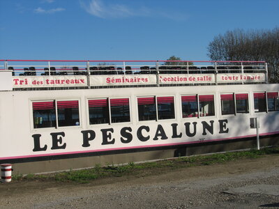 AIGUES MORTES - ARLES - FONTVIEILLE - ESTABLON - MONTMAJOUR , 01 AIGUES MORTES