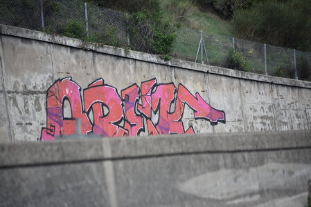 Avignon 2022, Zurlu  746 