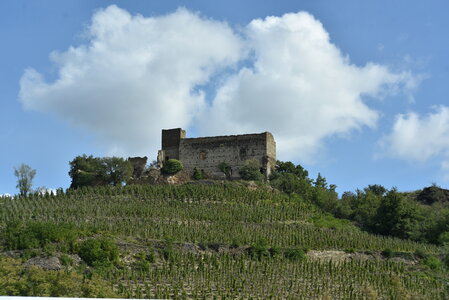 Avignon 2022, Zurlu  754 