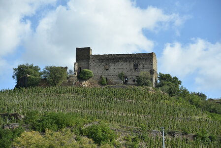 Avignon 2022, Zurlu  755 