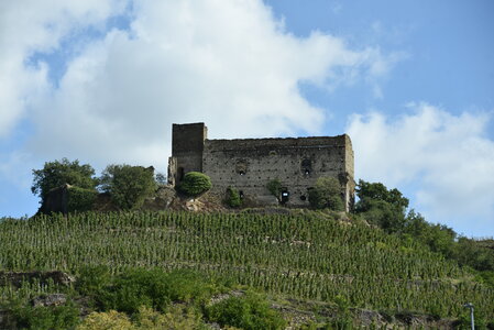 Avignon 2022, Zurlu  756 