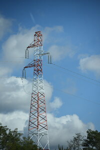 Avignon 2022, Zurlu  763 