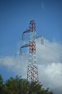 Avignon 2022, Zurlu  764 