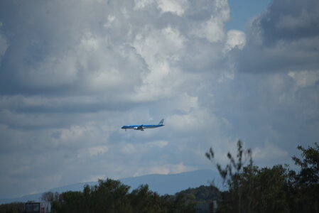 Avignon 2022, Zurlu  768 