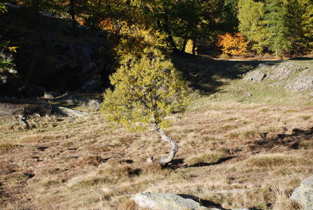 Pointe de Rochachille par le lac Biron Vallée de Névache le 06/10/2022, DSC_0003